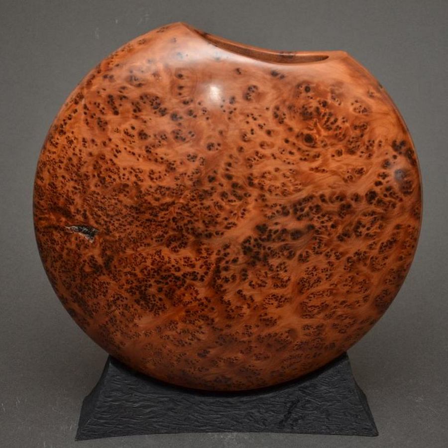 Thuya Clamshell Vase